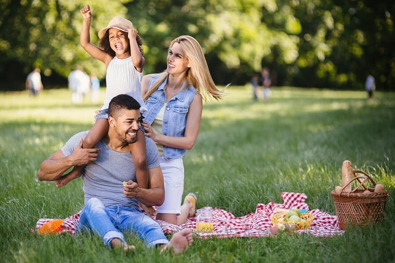 picnic là gì