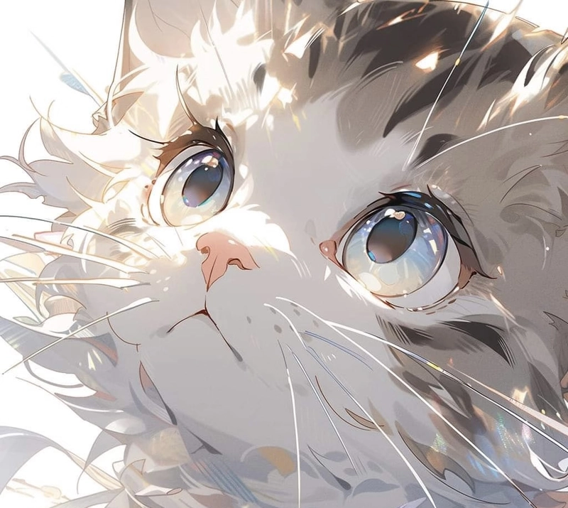 Ảnh mèo anime dễ thương với ánh mắt long lanh sáng