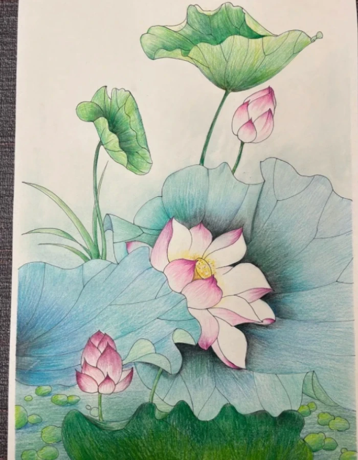 Không gian thanh tịnh qua tranh vẽ hoa sen