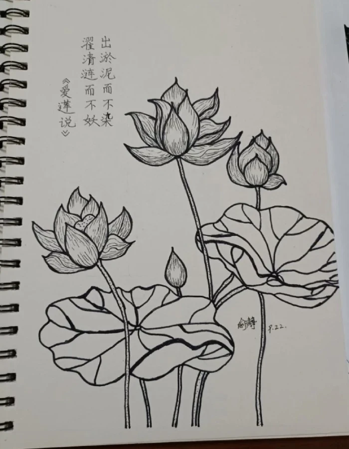 Sự an yên lan tỏa tranh vẽ hoa sen