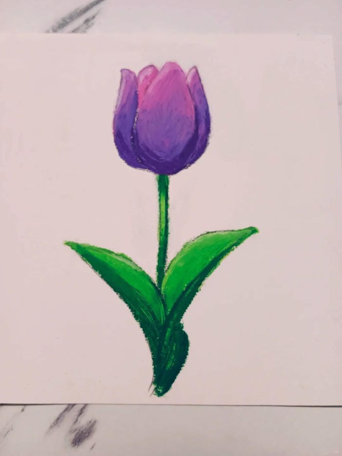 phong cách dễ thương qua vẽ tranh hoa tulip cute