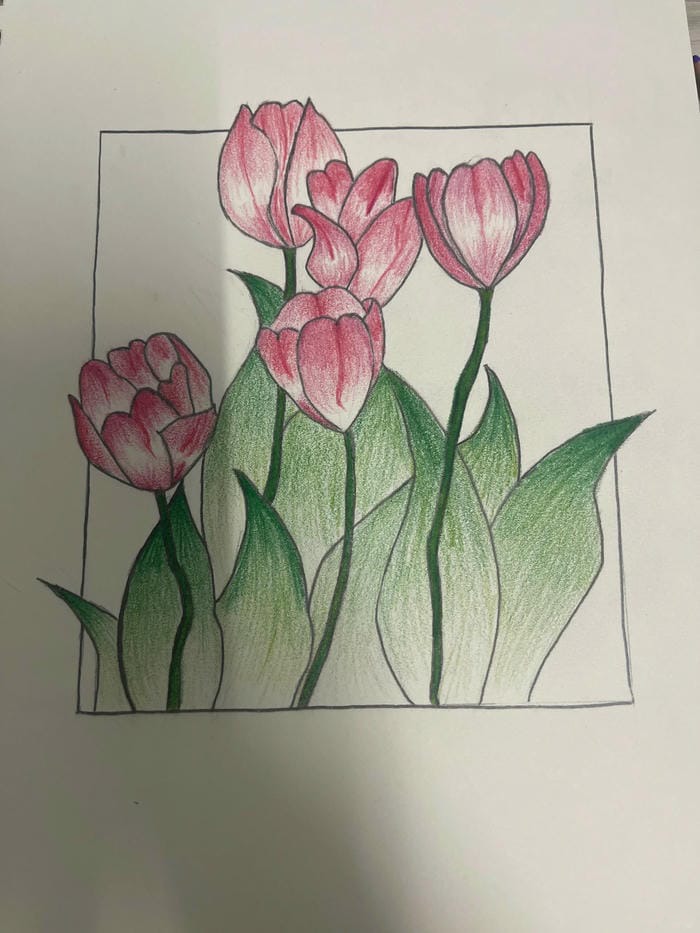 sáng tạo cá nhân với tranh vẽ hoa tulip