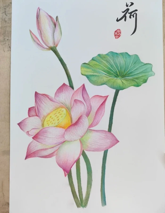 tranh vẽ hoa sen yên bình tĩnh lặng