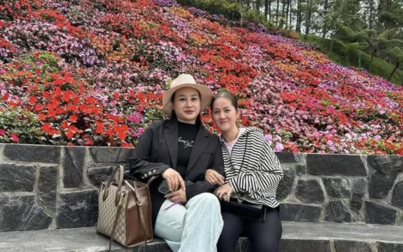 Góc Nhìn Pháp Lý Về Vai Trò Của Hồng Ni Trong Vụ Việc