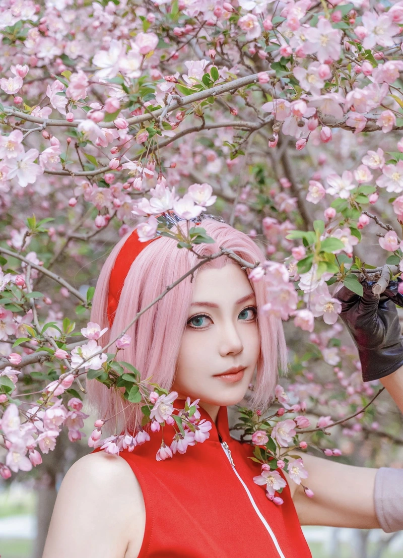 Hình ảnh nữ anime đẹp cosplay Sakura xinh