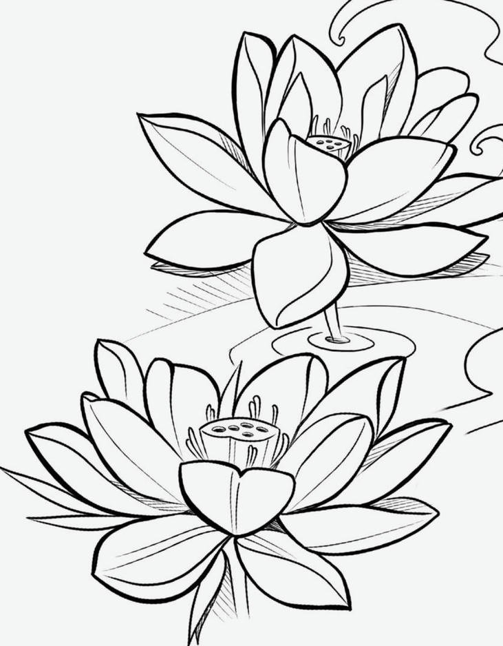 Hình tô màu hoa sen dễ sử dụng