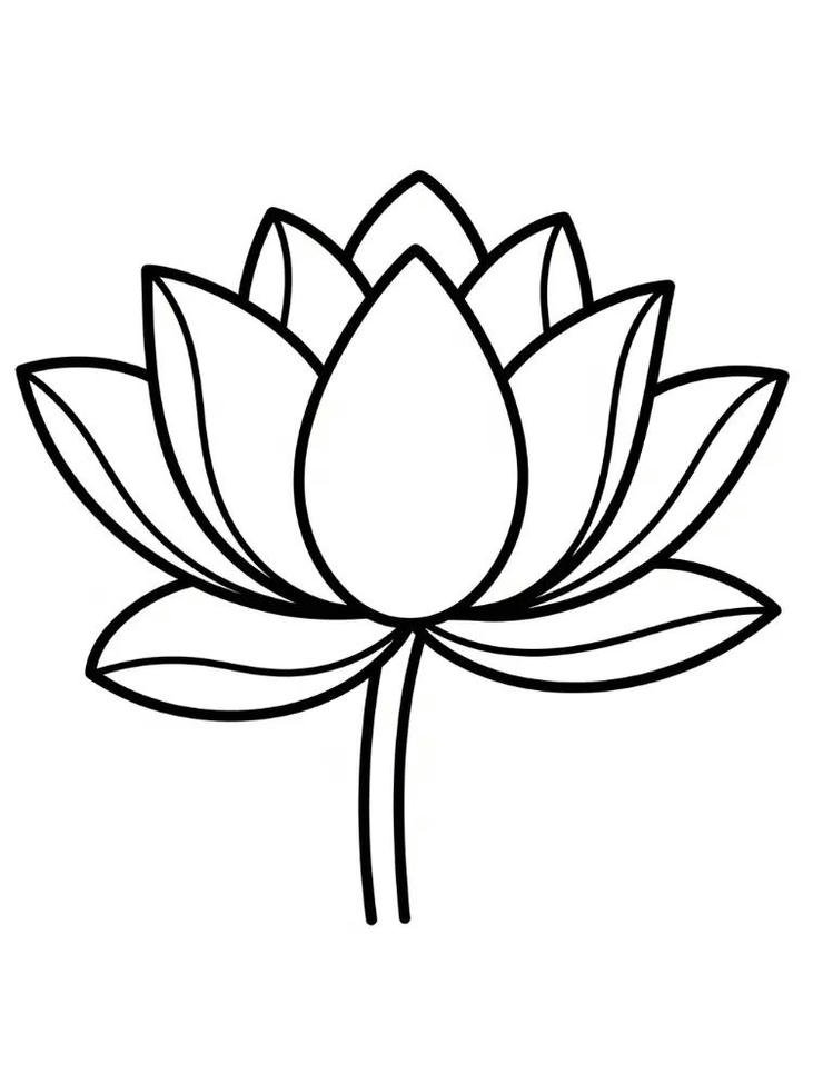 Hình tô màu hoa sen đơn nét rõ