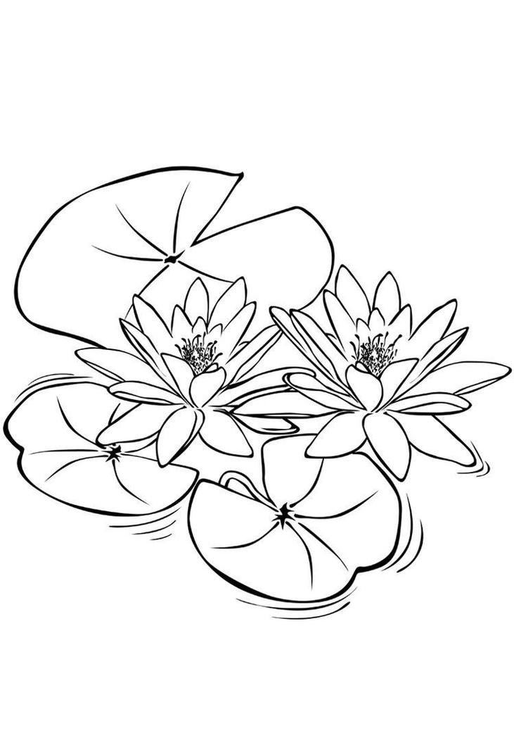 Tranh tô màu hoa sen cho hoạt động tô