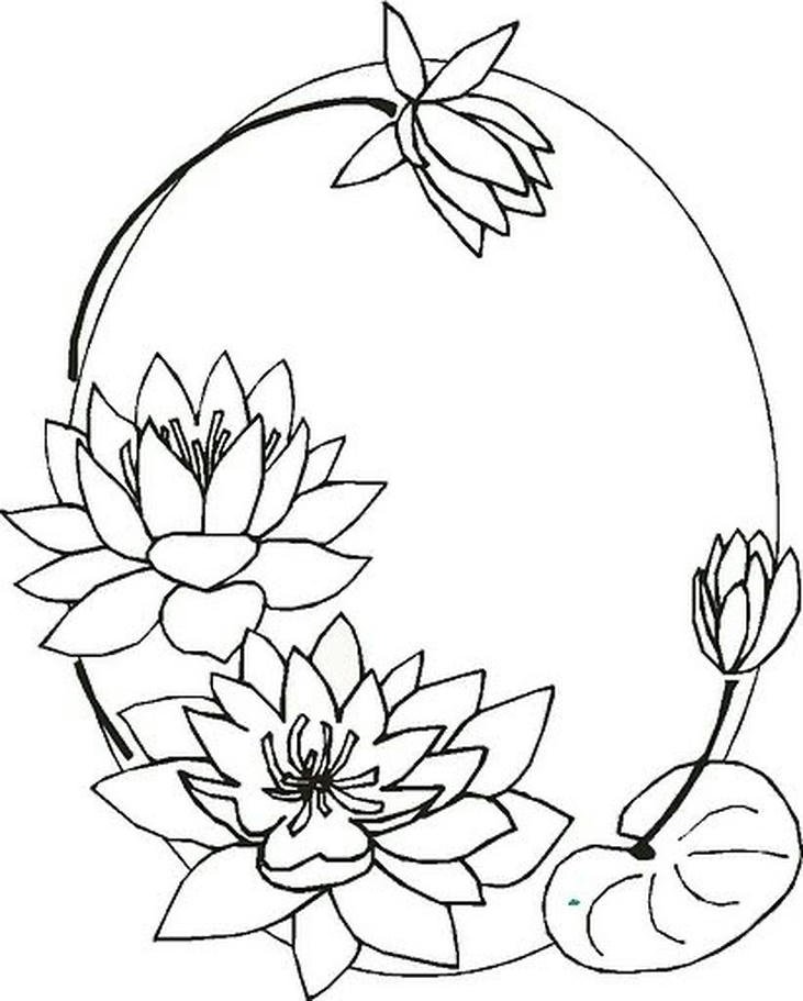 Tranh tô màu hoa sen dễ tô đẹp