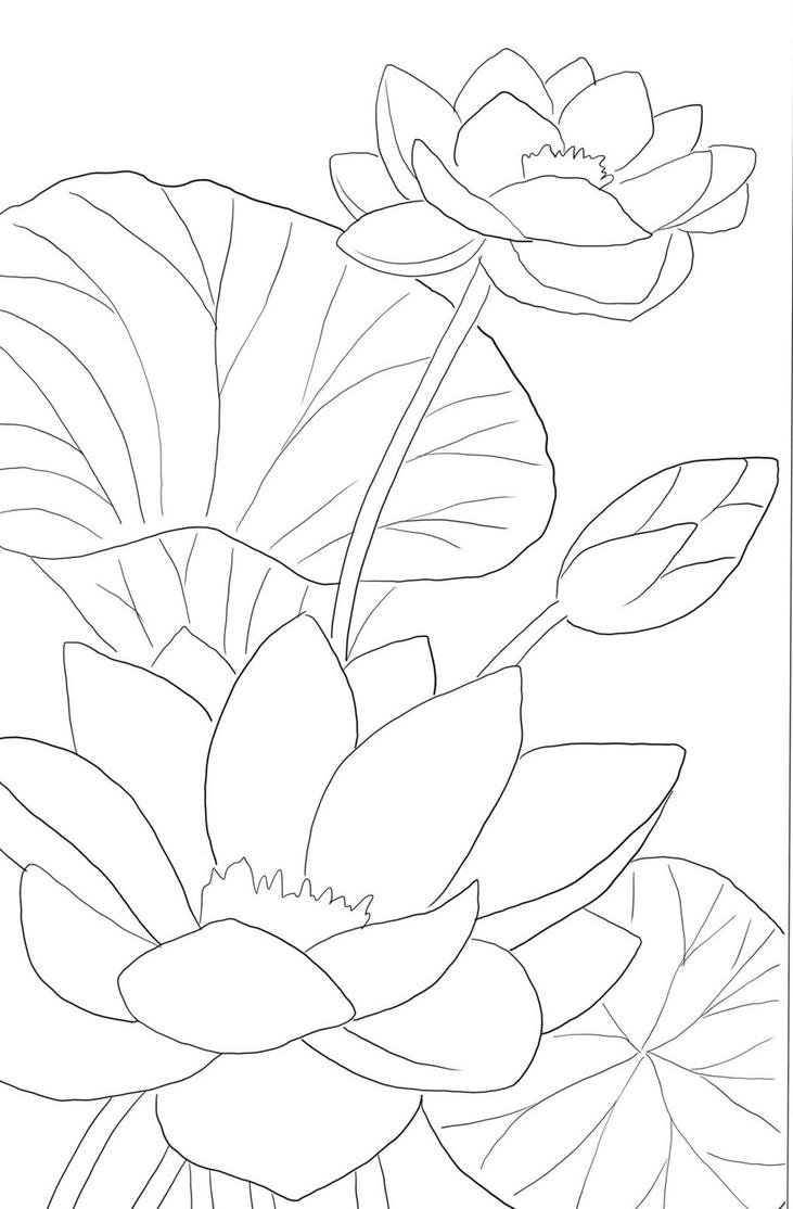 Tranh tô màu hoa sen đơn giản dễ