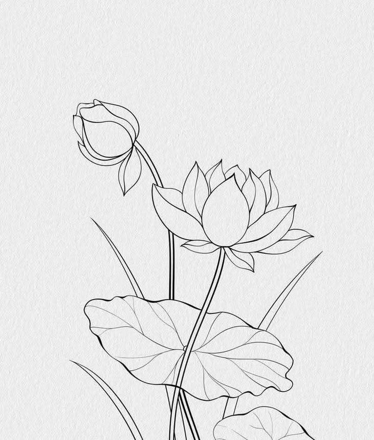 Tranh tô màu hoa sen giúp thư giãn