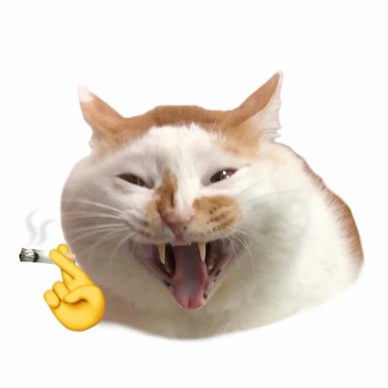 ảnh meme avatar dùng làm avatar ngầu