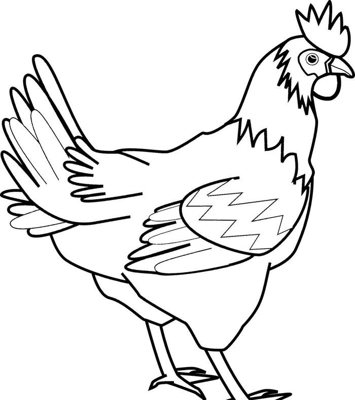 ảnh tô màu gà con cho trẻ nhỏ