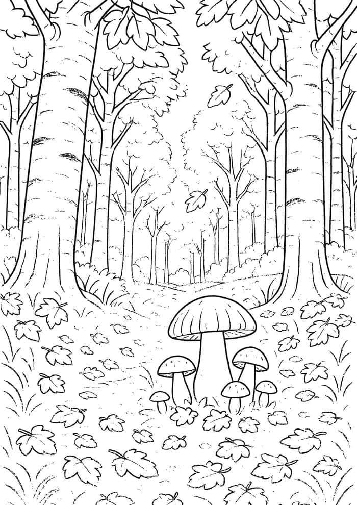 ảnh tô màu phong cảnh rất đẹp