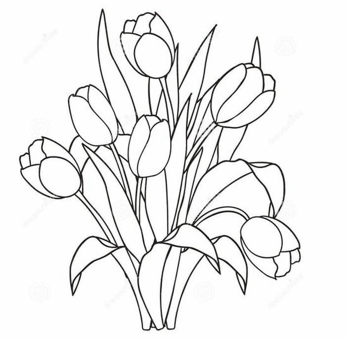 ảnh tô màu tulip rõ nét