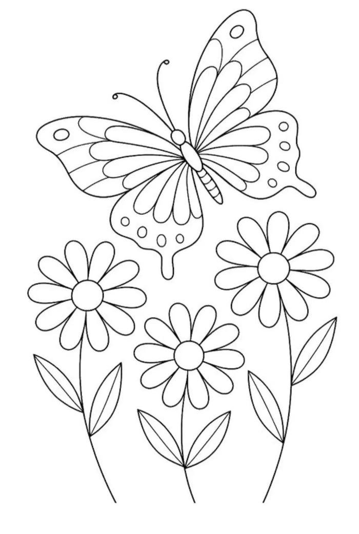 ảnh tranh bướm cho bé tô