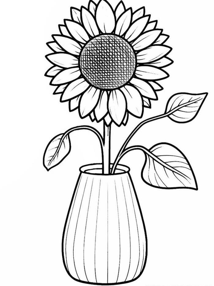 ảnh tranh tô màu hoa hướng dương bắt mắt