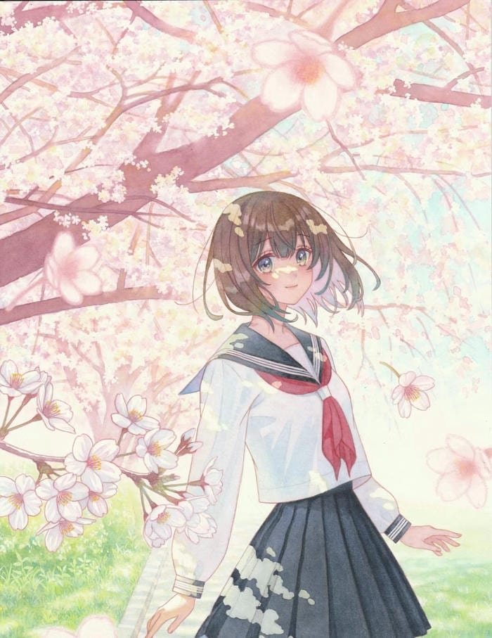 anime học sinh dưới gốc cây hoa anh đào