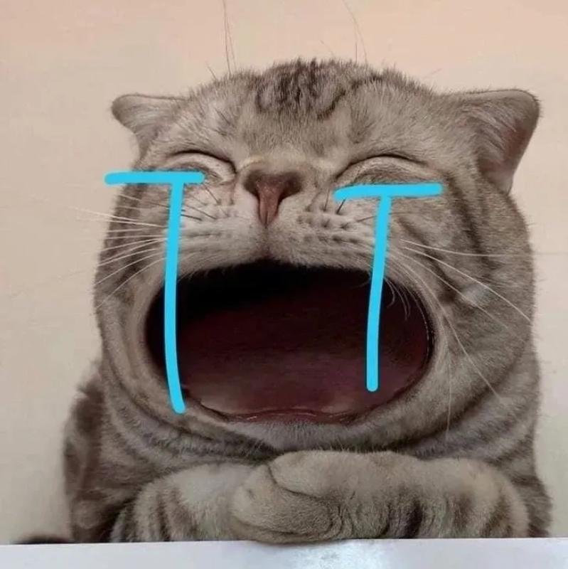 avatar mèo vô tri buồn rầu rưng rưng