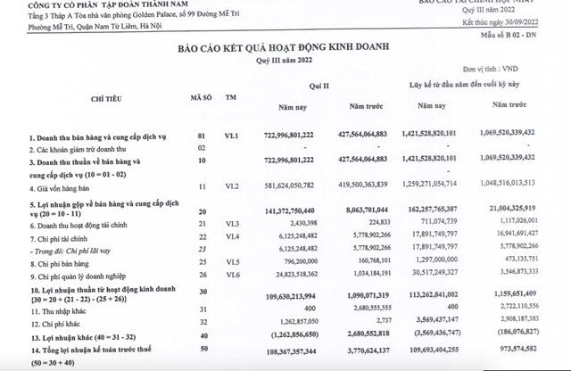 Biểu đồ kết quả kinh doanh quý III năm 2022 của Tập đoàn Thành Nam TNI