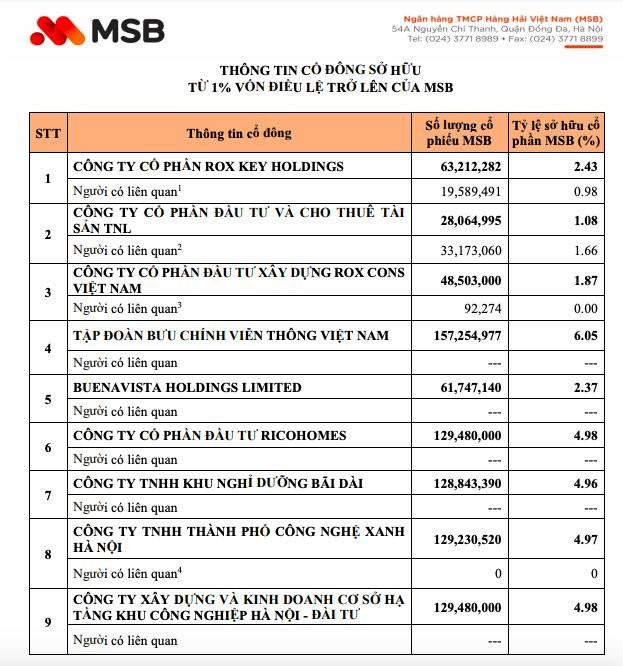 Biểu đồ thể hiện tỷ lệ sở hữu cổ đông lớn tại MSB