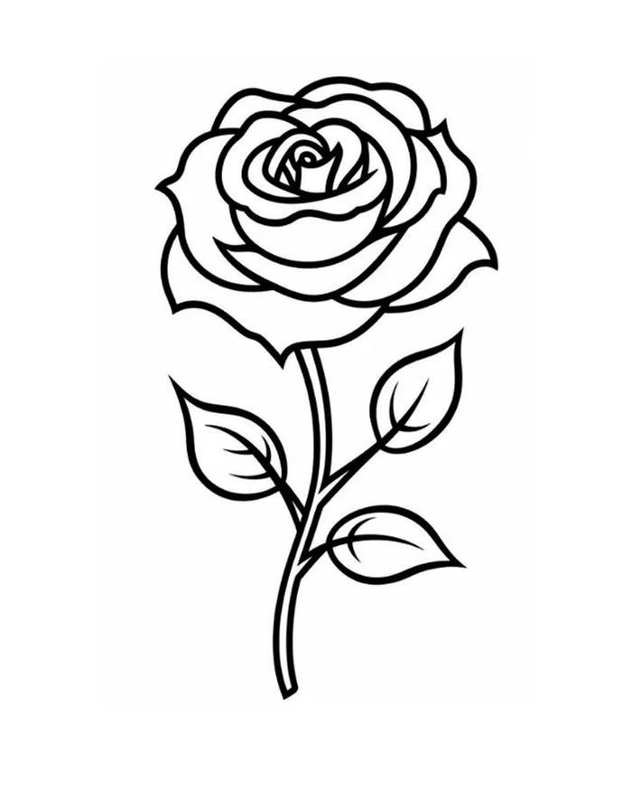 bức tranh tô màu hoa hồng thanh tao