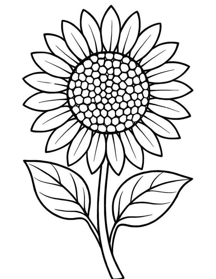 bức tranh tô màu hoa hướng dương hài hòa