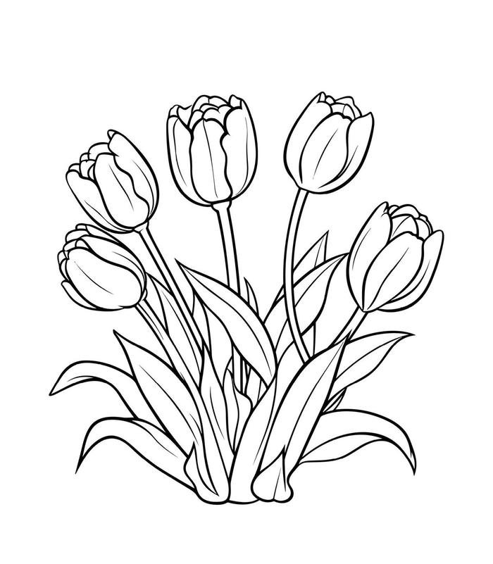 bức tranh tô màu tulip cực đẹp