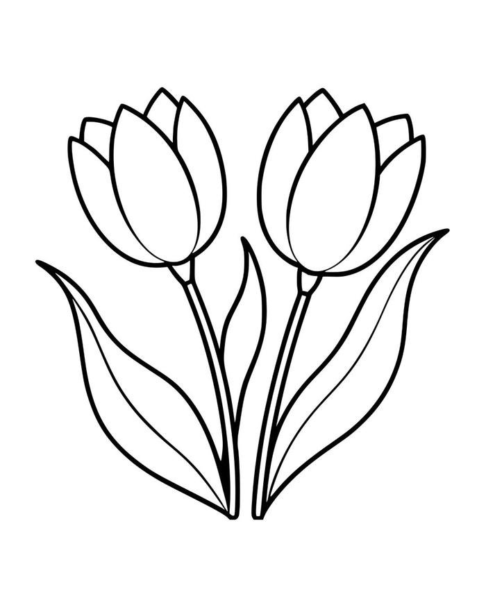 bức tranh tô màu tulip xinh xắn