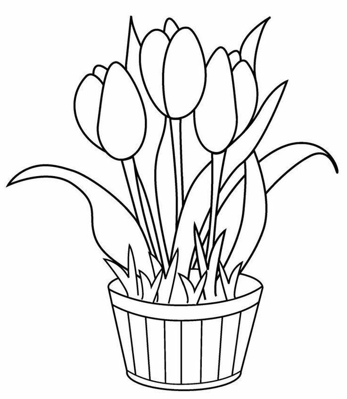 bức tranh tulip tô màu ấn tượng
