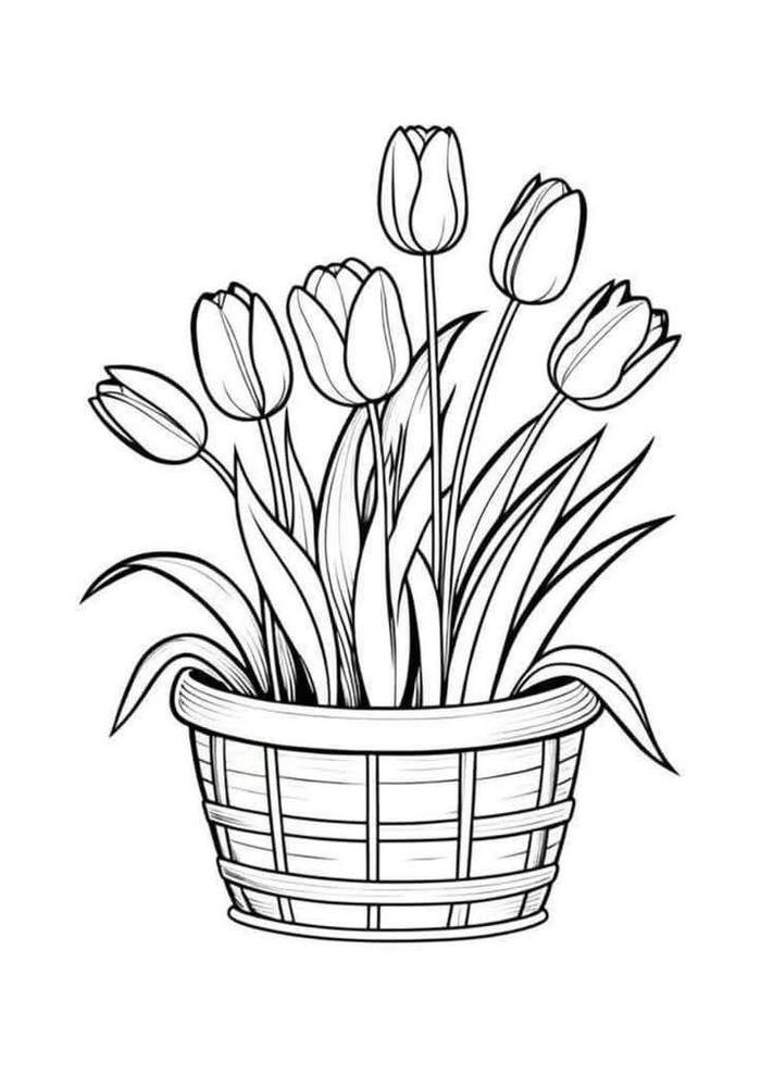 bức tranh tulip tô màu thanh thoát