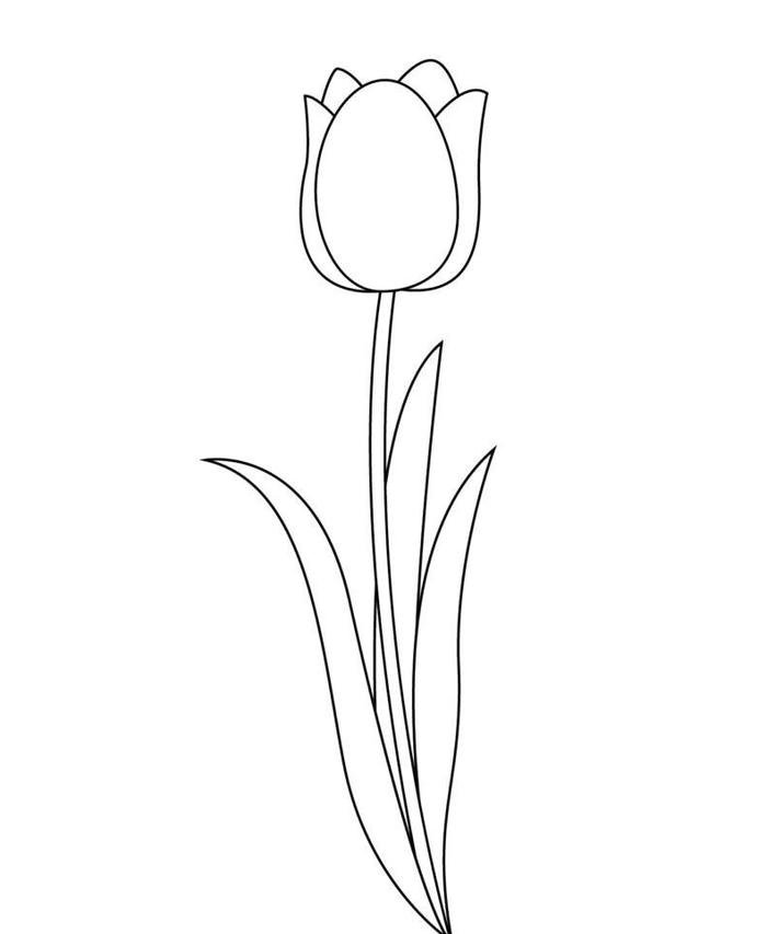 bức vẽ tô màu tulip cuốn hút