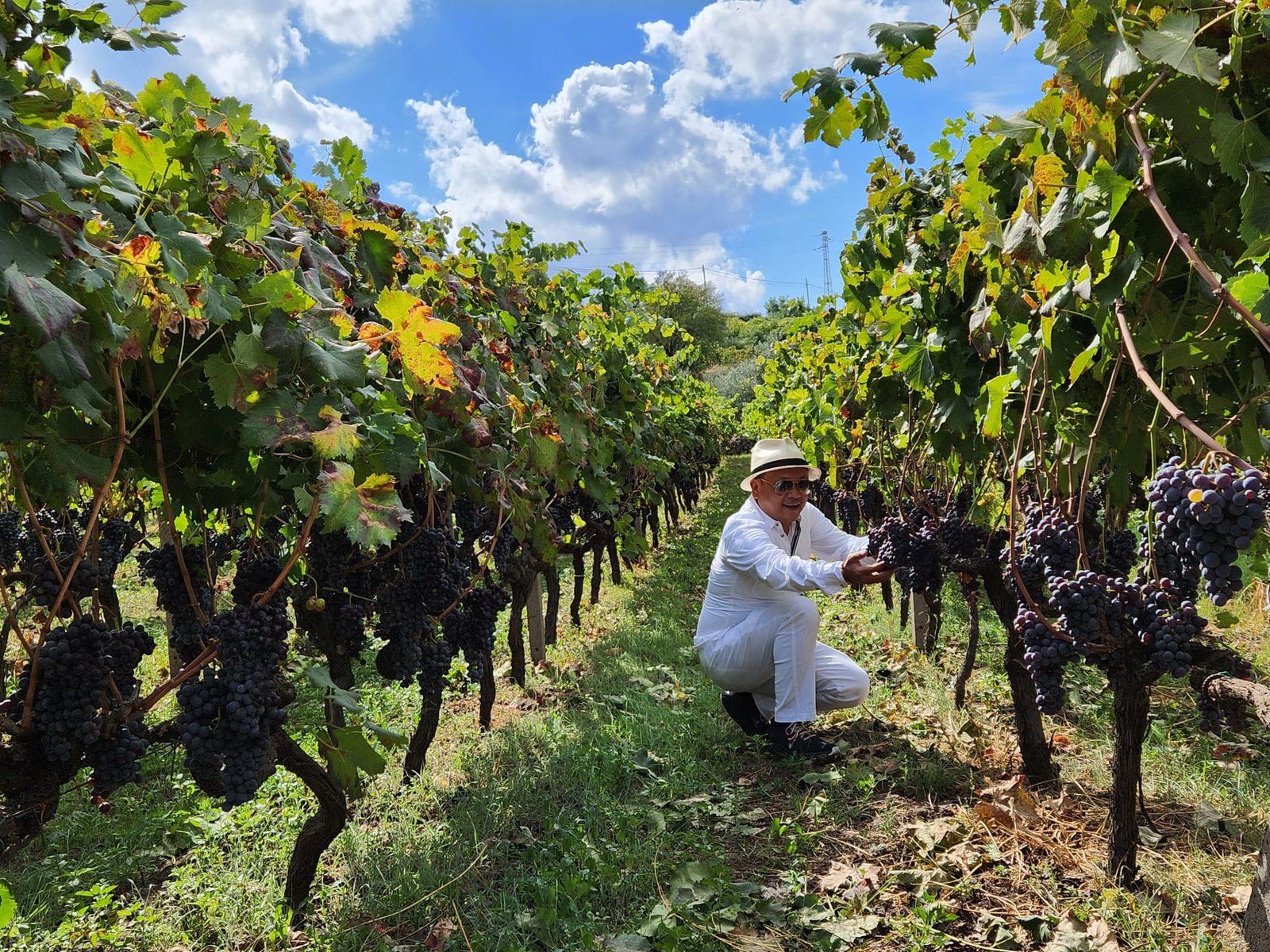 CEO Vũ Hữu Hùng, người kết nối văn hóa rượu vang Ý và Việt Nam