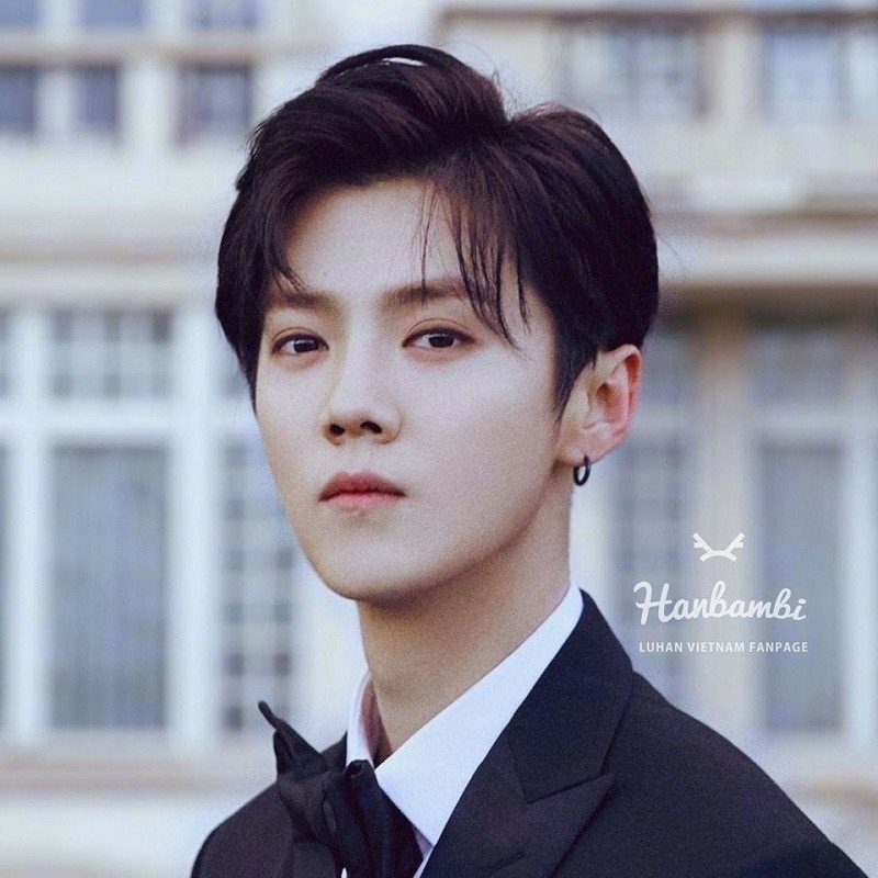 Chân dung Lộc Hàm, nghệ sĩ đa tài