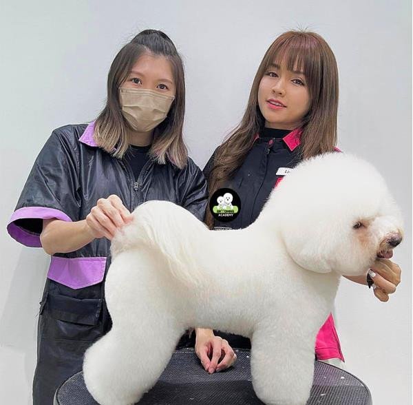 Chuyên gia Linh Kimi chụp ảnh cùng các học viên tại Học viện Học Cắt Tỉa Lông Chó