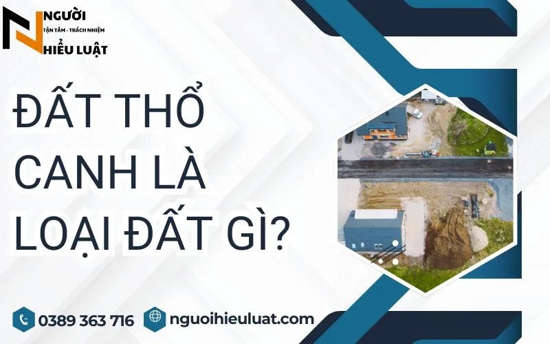 Đồng ruộng xanh tươi, minh họa cho đất nông nghiệp (đất thổ canh) phục vụ sản xuất lương thực.