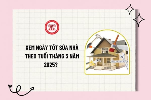 Gia đình xem xét kế hoạch sửa nhà trong tháng 3 với kiến trúc sư