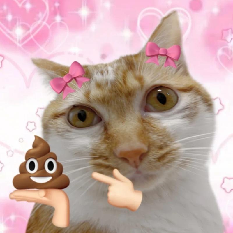 hình ảnh avatar meme avatar độc lạ