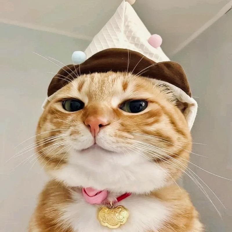 hình ảnh đáng yêu làm avatar cute