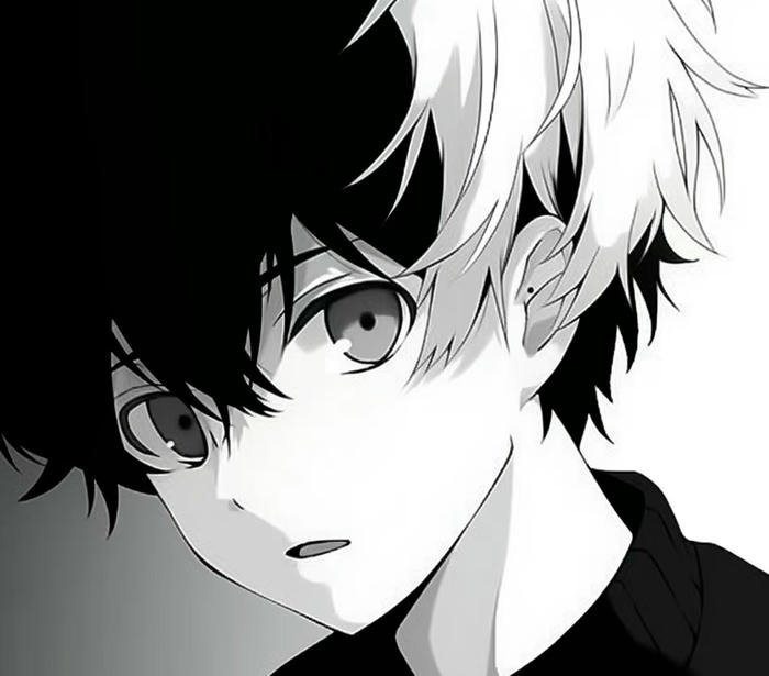 hình anime nam trắng đen tinh tế