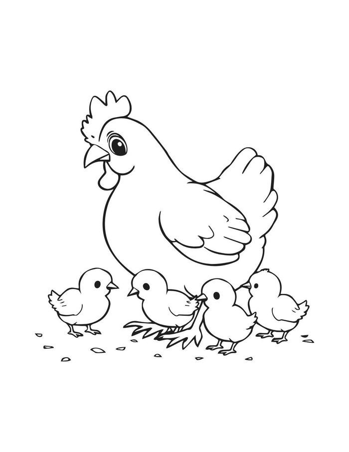 hình con gà tô màu miễn phí
