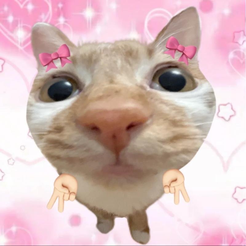 hình meme avatar nhìn lạ mắt