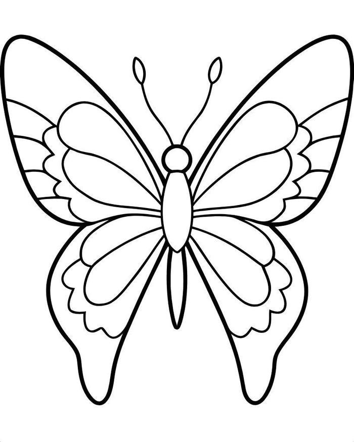 hình tô màu con bướm đẹp
