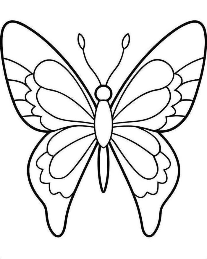 hình tô màu con bướm rõ nét