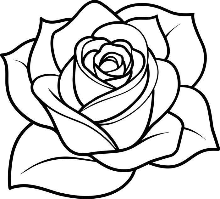 hình tô màu hoa hồng cân xứng