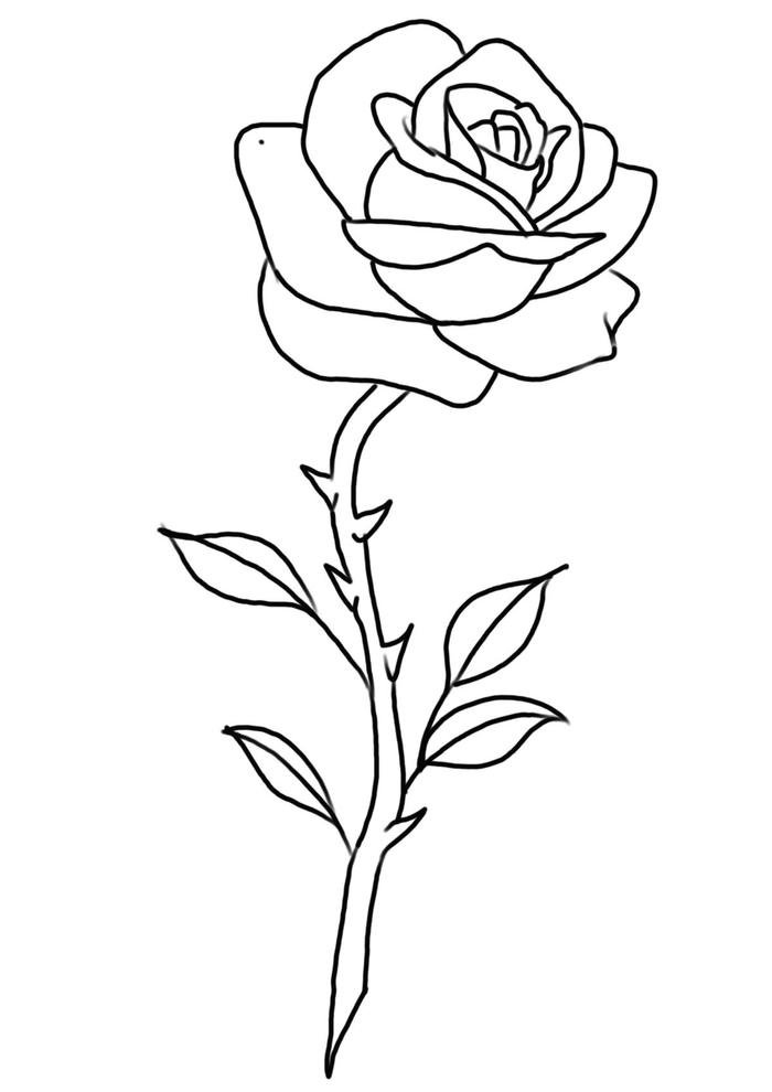 hình tô màu hoa hồng tinh tế