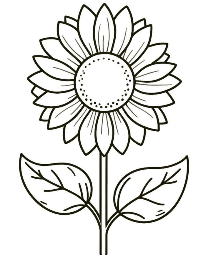 hình tô màu hoa hướng dương cân đối