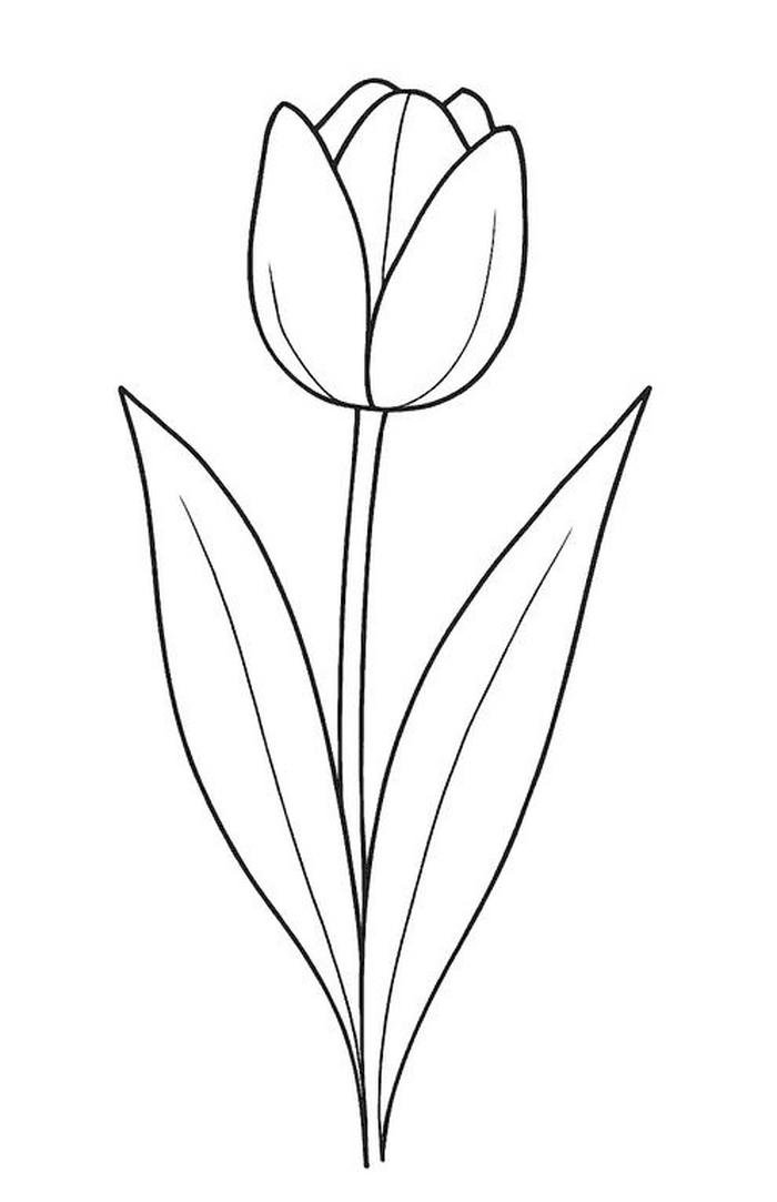 hình tô màu tulip dễ nhìn