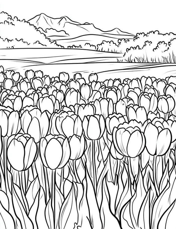 hình vẽ tô màu tulip đẹp rõ