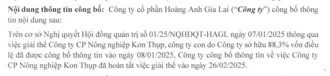 Hoàng Anh Gia Lai thông báo giải thể công ty con, đánh dấu bước chuyển đổi chiến lược kinh doanh